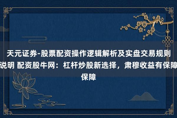 天元证券-股票配资操作逻辑解析及实盘交易规则说明 配资股牛网：杠杆炒股新选择，肃穆收益有保障