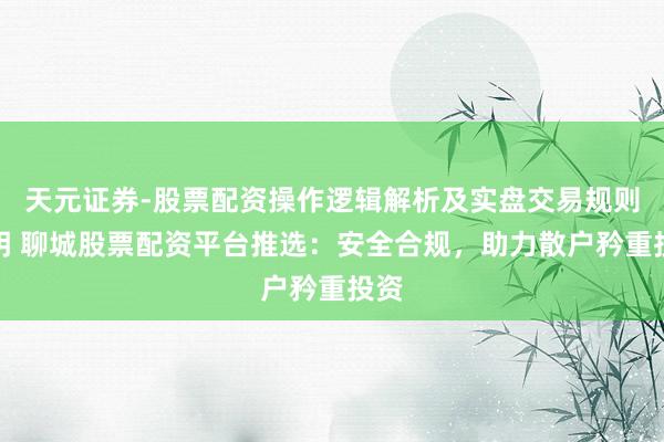 天元证券-股票配资操作逻辑解析及实盘交易规则说明 聊城股票配资平台推选：安全合规，助力散户矜重投资