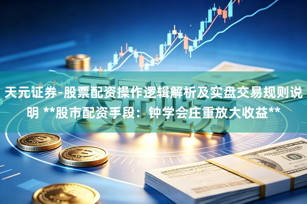 天元证券-股票配资操作逻辑解析及实盘交易规则说明 **股市配资手段：钟学会庄重放大收益**