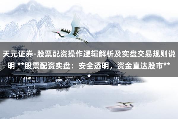 天元证券-股票配资操作逻辑解析及实盘交易规则说明 **股票配资实盘：安全透明，资金直达股市**