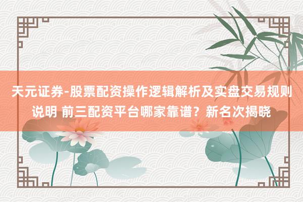 天元证券-股票配资操作逻辑解析及实盘交易规则说明 前三配资平台哪家靠谱？新名次揭晓